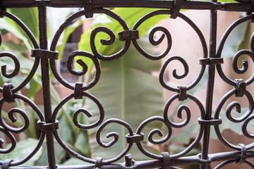 Vintage Railing with Plant Behind