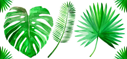 Tropical green palm leaf set watercolor illustrated
