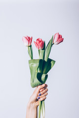 Vertical image of a bouquet of pink tulips