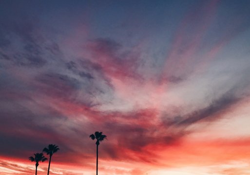 Fire Sky Sunset with Palm Trees in Los Angeles, California