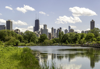 Fototapeta na wymiar Chicago Skyline from the Park