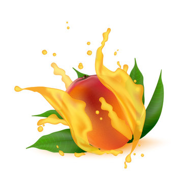 Juice splash of mango, orange, peach with leaves isolated on white background.  Vector.