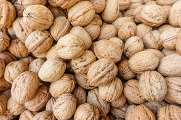 group of european walnuts in peel, natural food background