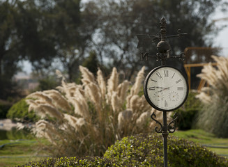 clock and park landscape 