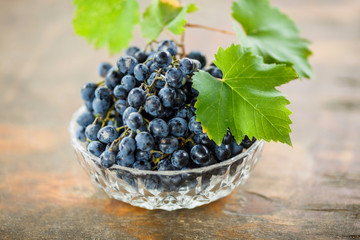 fresh juicy ripe grapes with green leaves in a white bowl, wine making