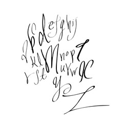 벡터 문자 / 손으로 쓴 글씨체