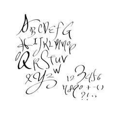 벡터 문자 / 손으로 쓴 글씨체