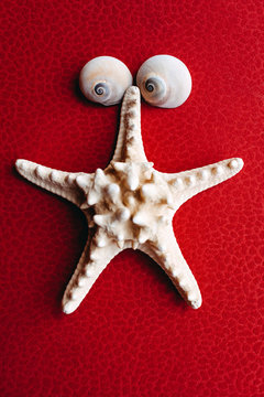 Starfish and shells on a red background