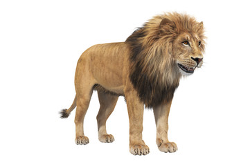 Naklejka na ściany i meble Lion with big mane, isolated on white. 3D rendering
