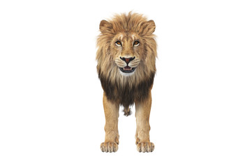 Lion animal beast with orange eyes, front view. 3D rendering