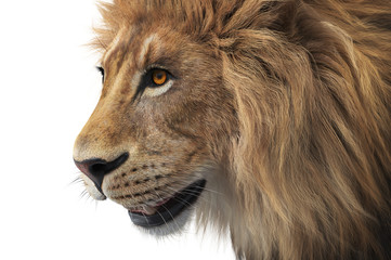 Lion head wild male mammal, close view. 3D rendering