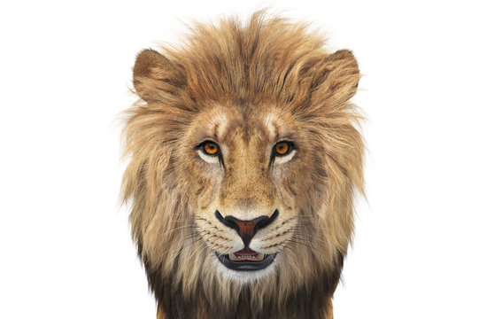 Lion head wild beige and orange hair, close view. 3D rendering