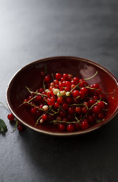 Fresh picked red currants in ceramic bowl