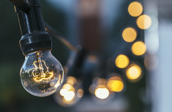 Light bulb in the garden at dawn