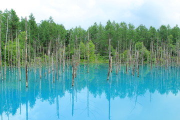青い池
