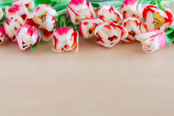 Close up of red tulips on wooden background.
