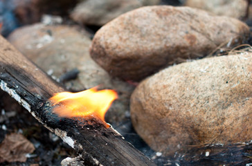 A plank burning in bonfire