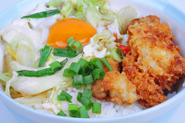 Jasmine rice with deep fried Chicken topped  soft boil eggs and fried pork with mixed vegetablein Japanese style.