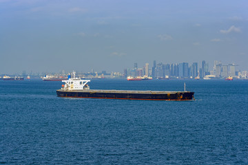 Bulk carrier cargo ship