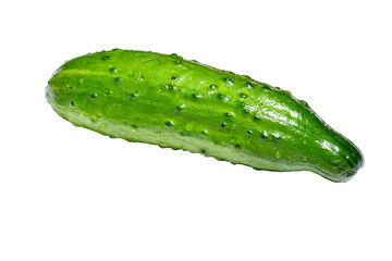 Fresh cucumber. Just from the garden. Isolated