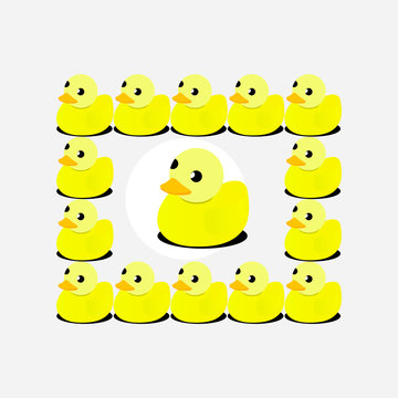 litle duck