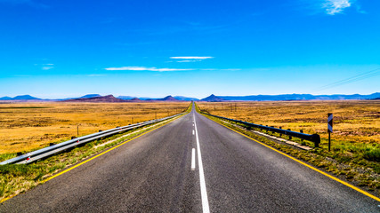 Long Straight Road through the Endless wide open landscape of the semi desert Karoo Region in Free...