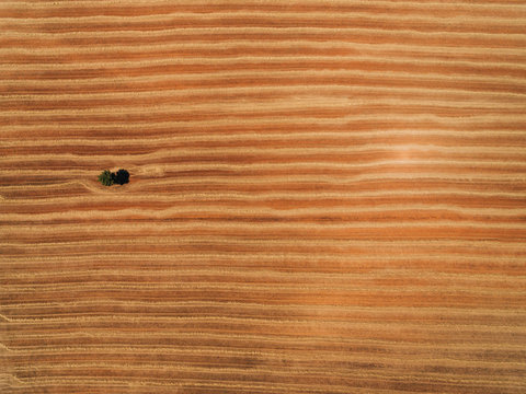 Aerial Textures of agriculture fields