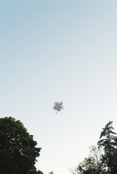 Balloons in the sky