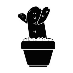 beautiful cactus houseplant in pot