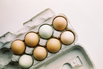 eggs in pastel egg holders