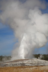 Old Faithful - Yellowstone National Park. Geyser at the peak of eruption.
