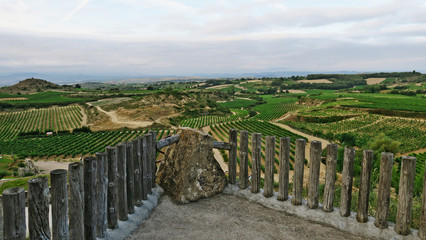 Entre vi&ntilde;edos