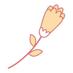 flower petals leaves nature decoration vector illustration