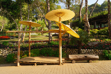 Paper umbrellas  in the garden, Thailand.