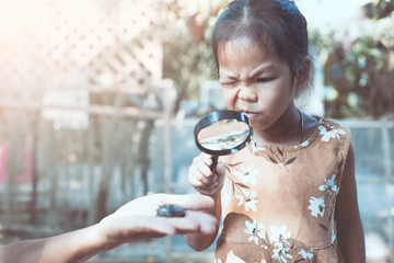 Cute asian child girl using magnifying glass watching and learning on  rhinoceros beetle larvae on her parent hand