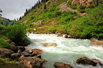 Views of Grigorievsky Gorge. Grigorievskoe gorge is considered one of the most famous sights of Lake Issyk-Kul. In this gorge grow beautiful Tien-Shan firs.