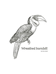 Wreathed Hornbill , hand draw sketch vector. © Yada