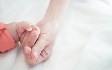 Baby new born hand in mother hand : Concept of love, Take Care, Protecting