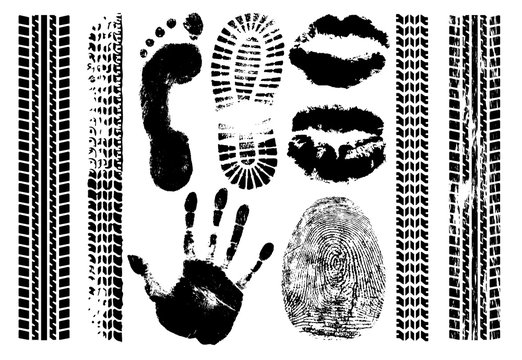 Imprint set evidence. Handprint, footprint, fingerprint, print of the lips, tire tracks. Isolated silhouette vector on white background