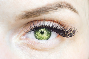 Obraz premium female green eye looking at the camera, natural color