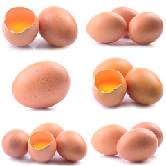 Eggs on a white background
