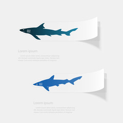 Shark. Flat sticker with shadow on white background