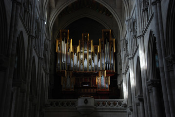 Pipe Organ in a Cathedral