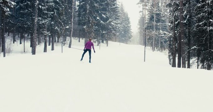 WIDE TRACKING Back view of young adult Caucasian female athlete practicing cross-country skiing on a scenic forest trail. 4K UHD 60 FPS SLO MO