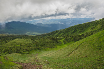 Fototapeta na wymiar Beautiful mountains landscape in Carpathian.The wild nature