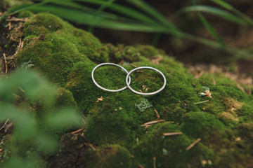 Rustic style.  Silver wedding rings on green moss in forest.