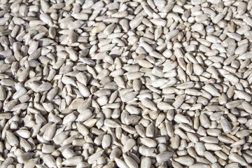 Peeled sunflower seeds, food, background and texture
