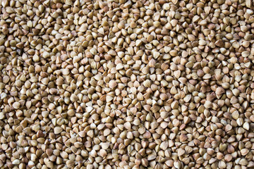 Buckwheat grain, useful food, background and texture