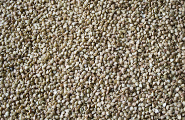 Buckwheat grain, useful food, background and texture