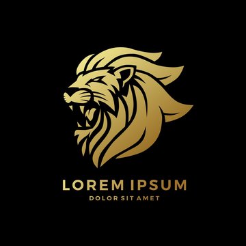 roaring lion logo king gold on black background vector download